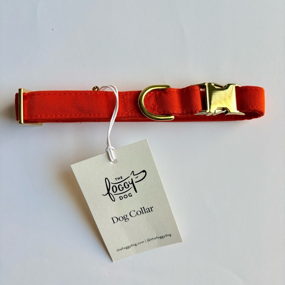 The Foggy Dog Orange Dog Collar Small Gold Hardware Pet Fall Harvest NEW w/ tags - Picture 5 of 13